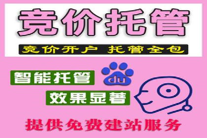 关键词竞价排名实战案例分析